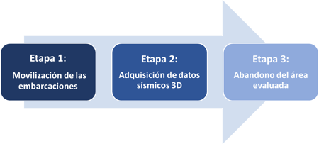 Arrow Proyecto NOPEC